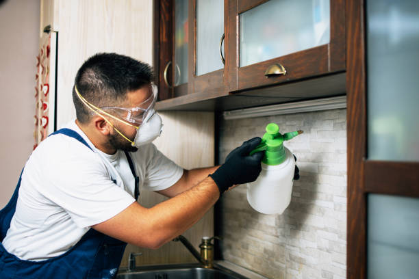 Indoor Pest Control in Ridgecrest, CA